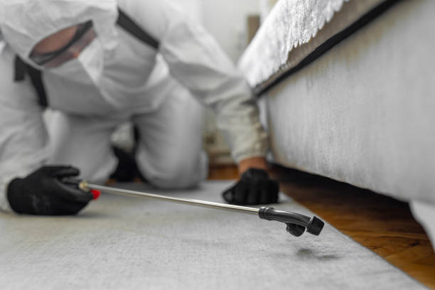 Professional Pest Control technician working in Eagle, ID