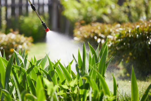24/7 Emergency Pest Control experts in Eagle, ID