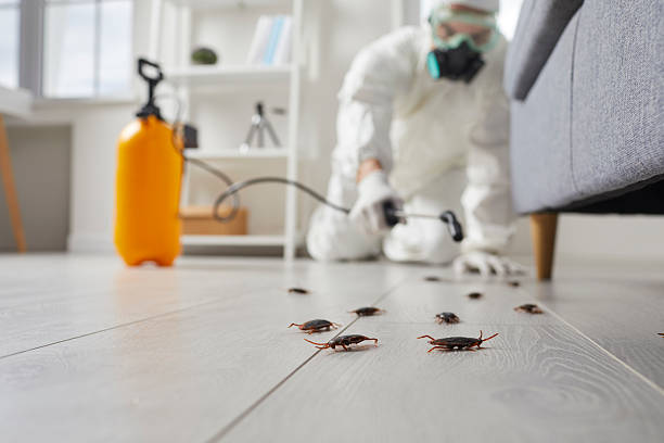 Affordable Pest Control solutions in Eagle, ID